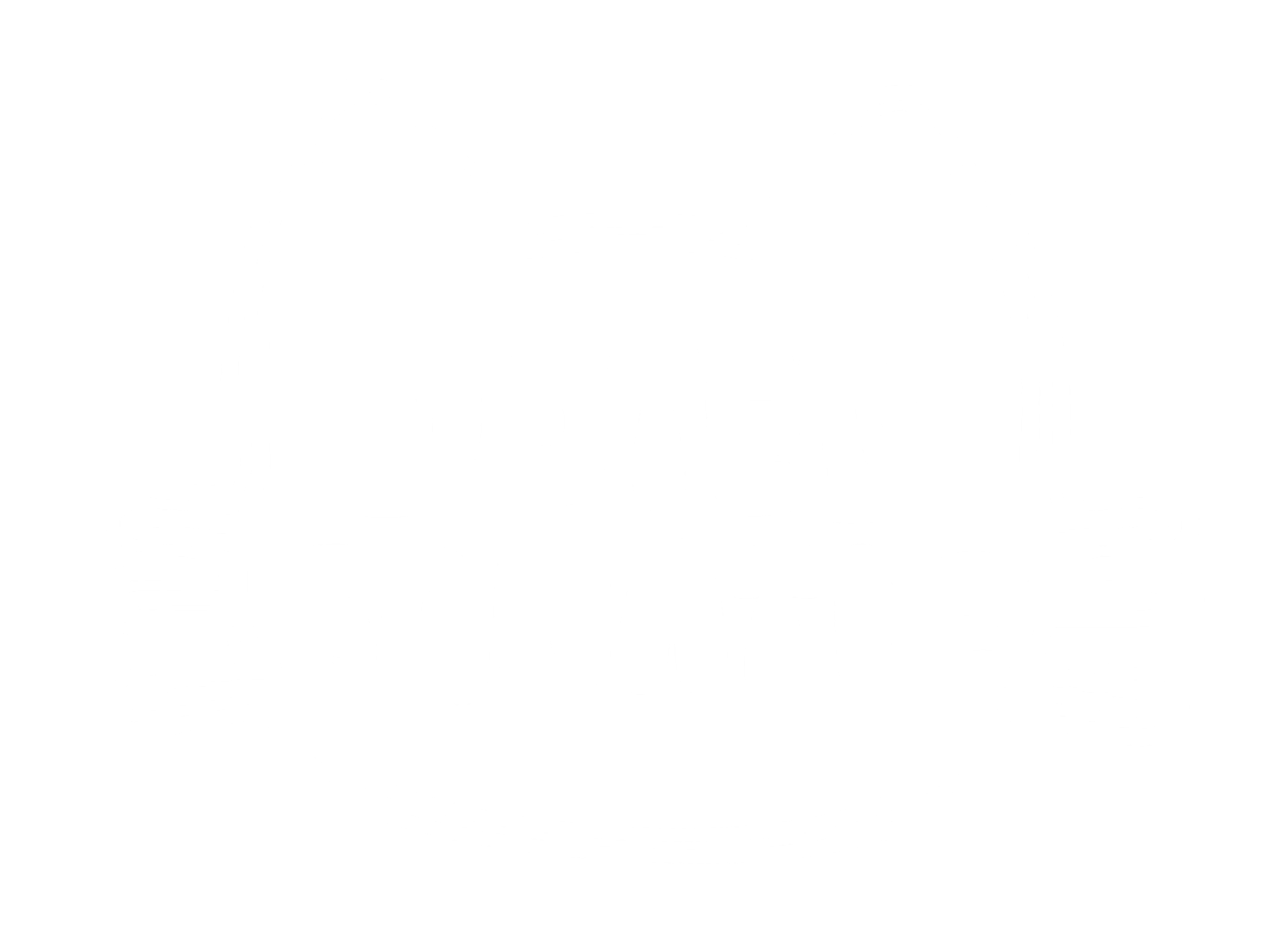 DOTED FANATIC logo
